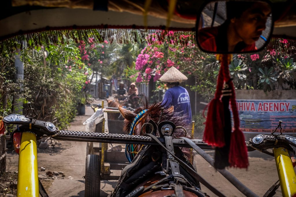 Public Transport in Gili Air island, Indonesia, 2015