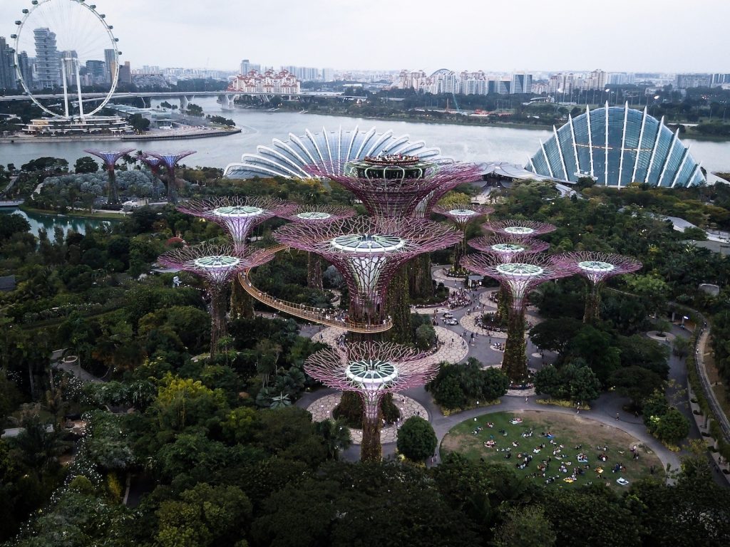Gardens by the Bay aerial view, Singapore, 2015.